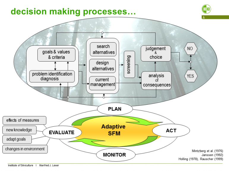 Figure 1. Planning process according to Mintzberg et al. (1976, modified). For explanation see text. The adaptive management cycle is closed by the bold arrows feeding back from implementing actions via monitoring to diagnosis & problem identification. 