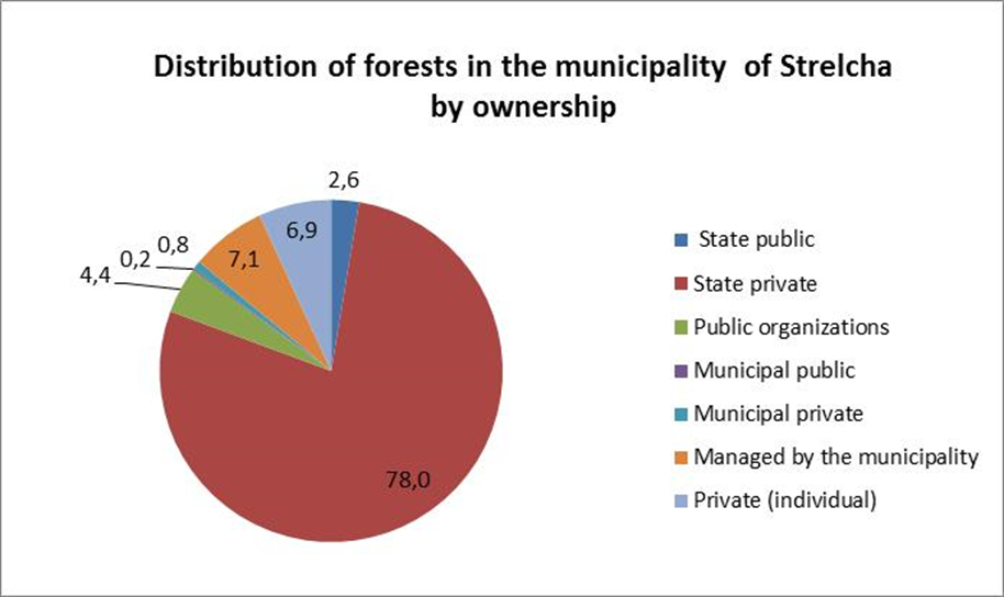 : Forest ownership structure in the municipality of Strelcha (source: Forest management plan of SFE Panagyurishte, 2006).