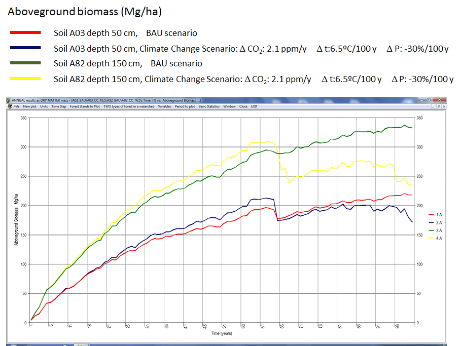 Figure 4: evolution of aboveground biomass in unmanaged stands of Pinus sylvestris in Poblet on two different soils with and without climate change