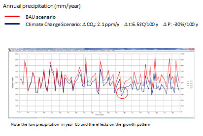 Figure 3: Evolution of precipitation (in mm/year) in Prades mountains as modelled with the Gotilwa+ weather generator. Note the low precipitation in year 65, which affects the growth of the forest (see figure 4).