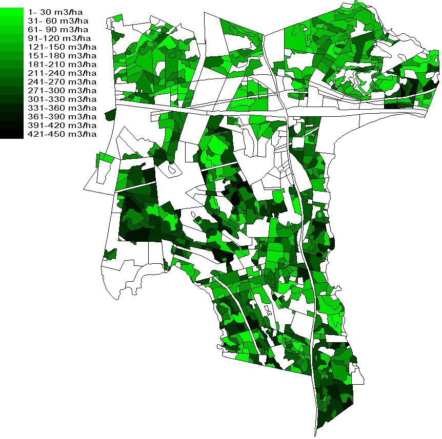 Figure 4. Map of forests in the case study area showing the separate stands with the stocking of stem wood.