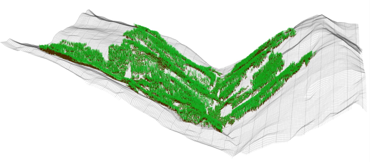 Figure MO-6: Landscape level visualization of 215 ha of forests embedded in a framework of non-stockable gullies and avalanche tracks in the Rellstal valley, Montafon. This small side valley features one south- (right) and one north-facing slope (left). They extend from 1160 m a.s.l. at the valley bottom to the actual timberline at around 1800 m a.s.l.