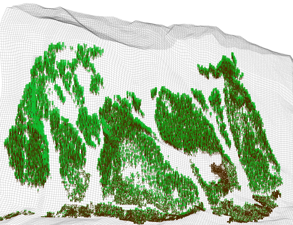 Figure MO-7: A more detailed visualization of ca. 70 ha forests of the south facing slope in the Rellstal valley in the Montafon. Meso-scale forest structure and distribution pattern is highlighted.