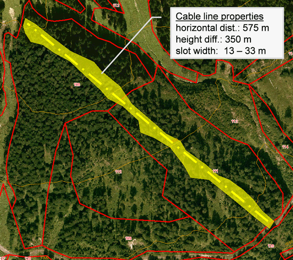 Figure 15: Current management practices rely on long distance cable yarding with skyline systems. The skyline tracks are widened with irregularly shaped slit and patch cuts (yellow). 